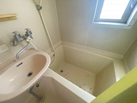 バス・シャワールーム　※別号室の写真を使用しております。