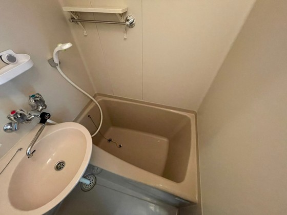 バス・シャワールーム　※別部屋の写真です