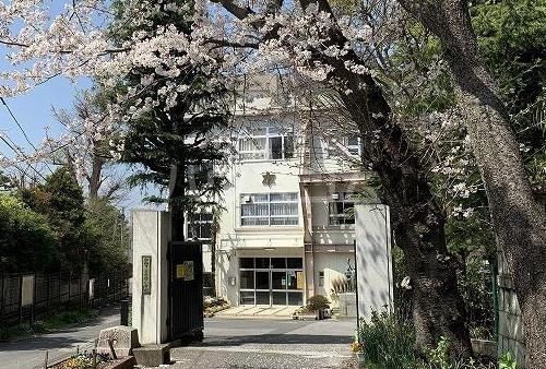中学校　船橋市立葛飾小学校（中学校）まで1037m
