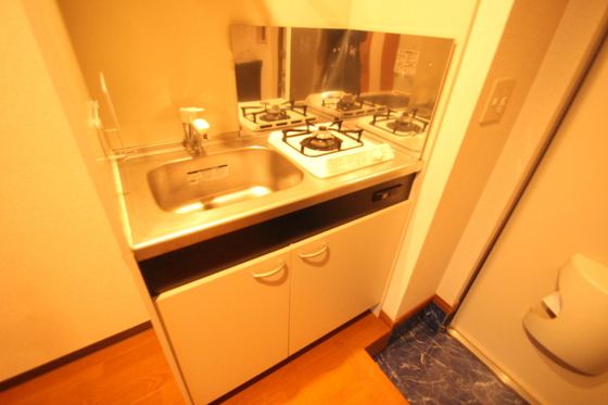 キッチン　※別号室の写真です。