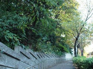 公園　大坂緑地（公園）まで407m