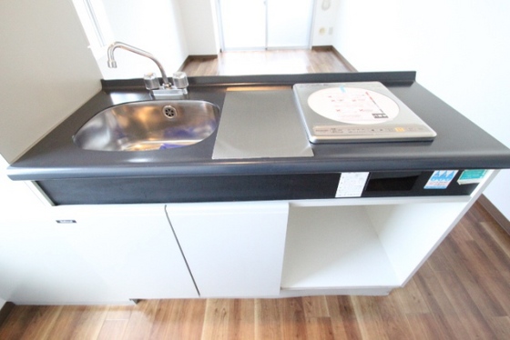 キッチン　※他号室の写真です