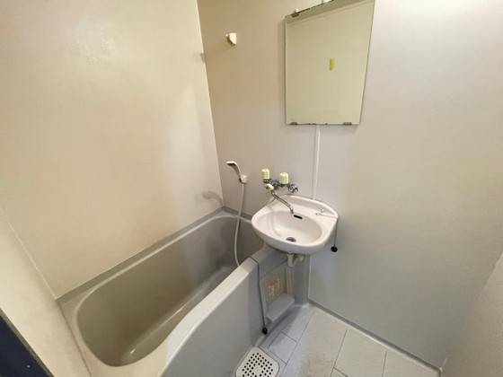 バス・シャワールーム　※別部屋の写真です