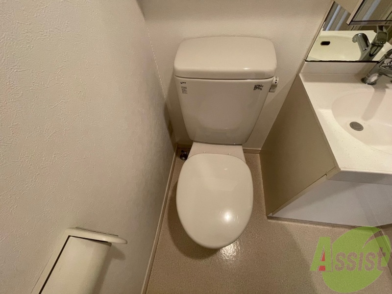 トイレ　トイレスペースも問題なく使用出来そうですね。。