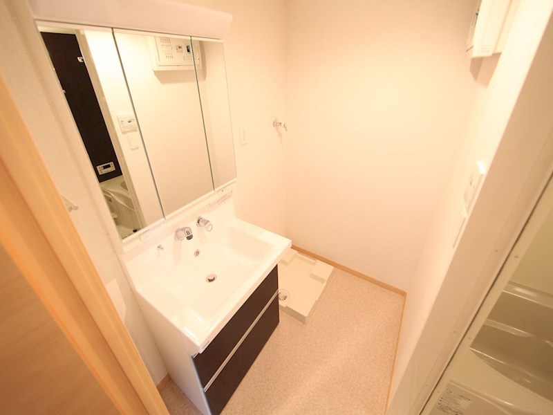 洗面設備　脱衣所　独立洗面台（シャンプードレッサー付）収納スペース有