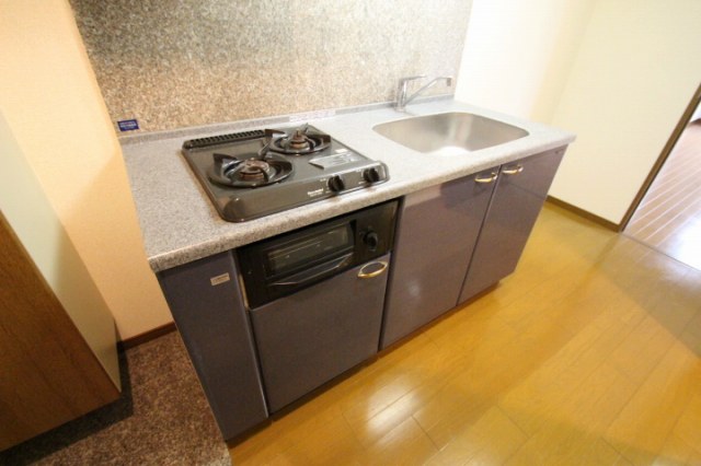キッチン　同物件別号室のものです。
