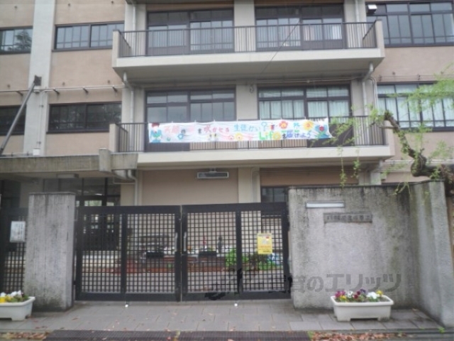 中学校　近衛中学校（中学校）まで1100m