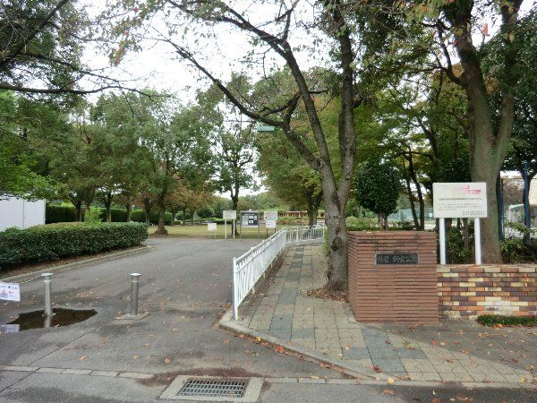 公園　朝宮公園（公園）まで890m