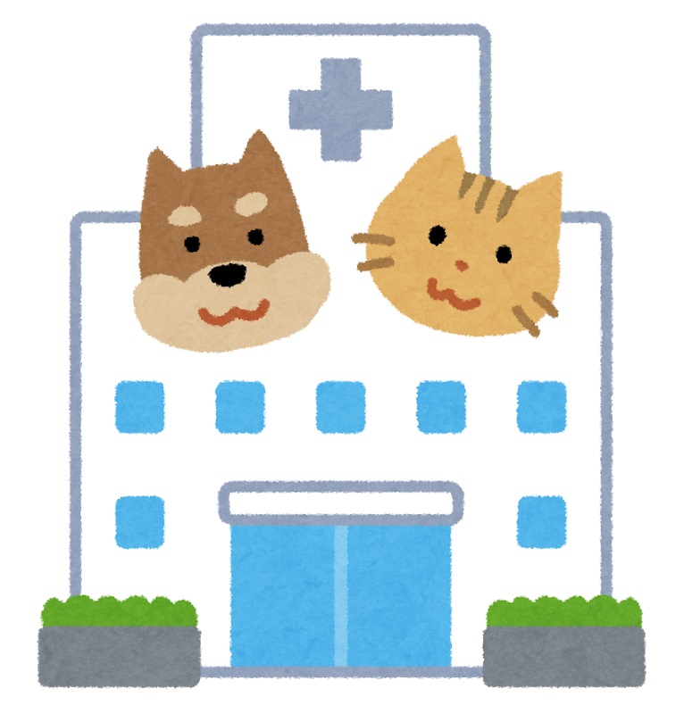 その他　☆ライト動物病院（その他）まで250m