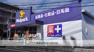 ドラックストア　ウェルパーク東武練馬店（ドラッグストア）まで291m