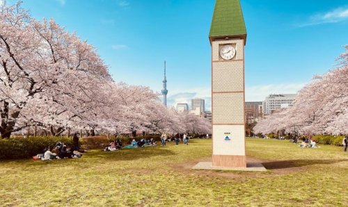 公園　猿江恩賜公園（公園）まで1184m