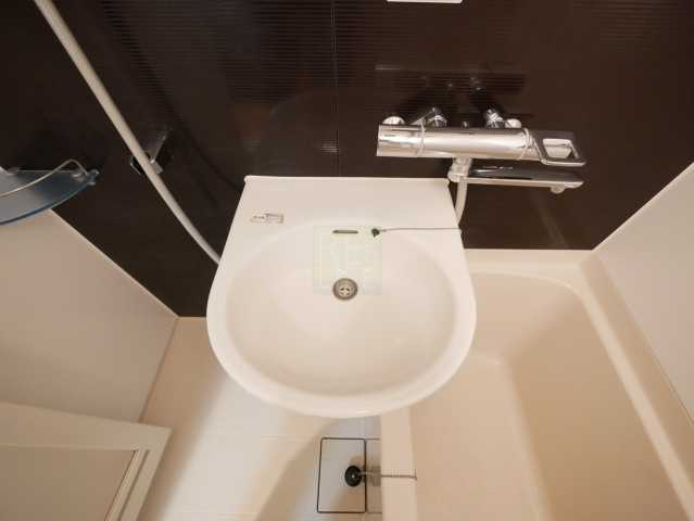 洗面設備　ルーブル大塚参番館の洗面所