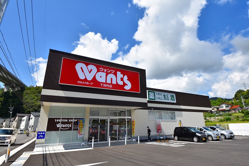 ドラックストア　ウォンツ下河内店（ドラッグストア）まで689m