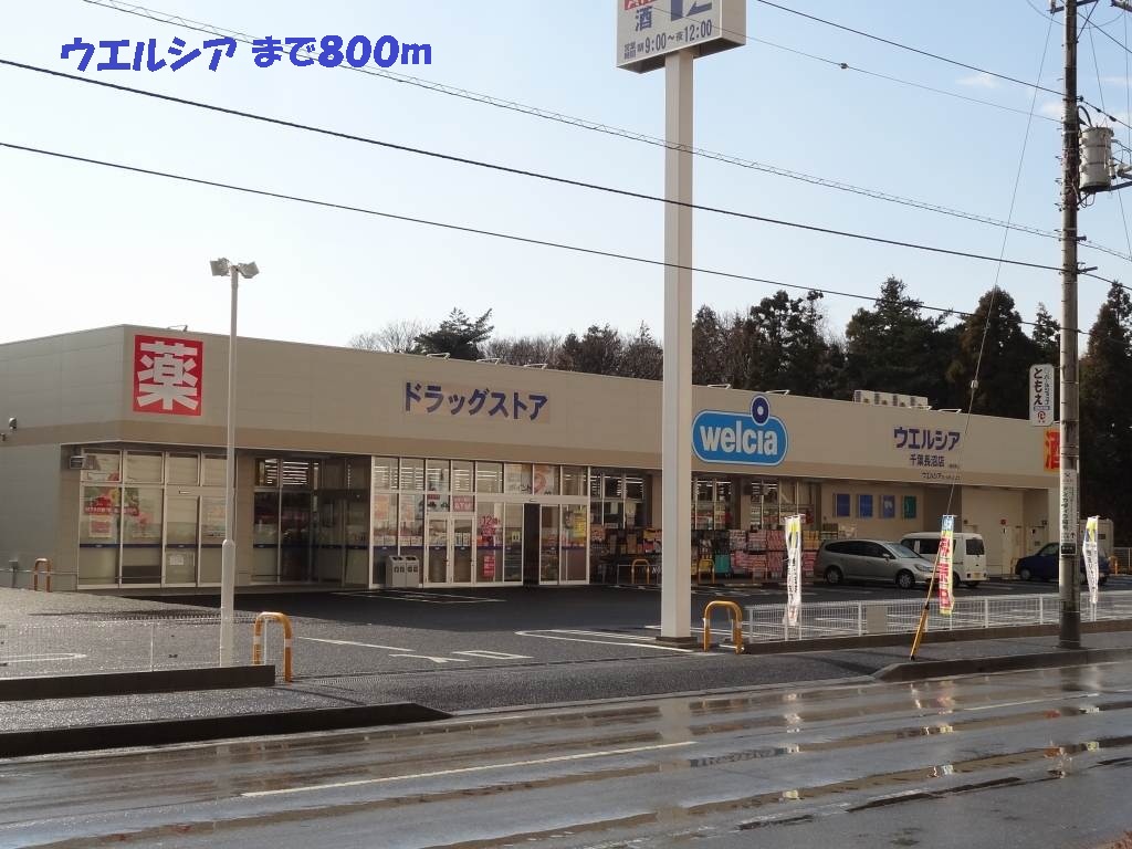 ドラックストア　ウエルシア（ドラッグストア）まで800m