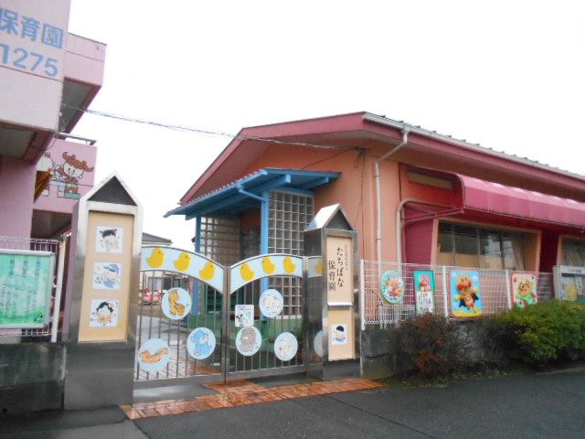 幼稚園・保育園　たちばな保育園（幼稚園・保育園）まで1224m
