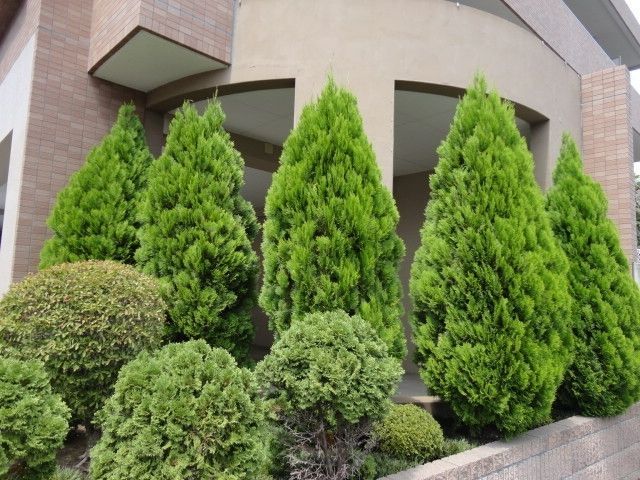 庭　★敷地内も綺麗です★