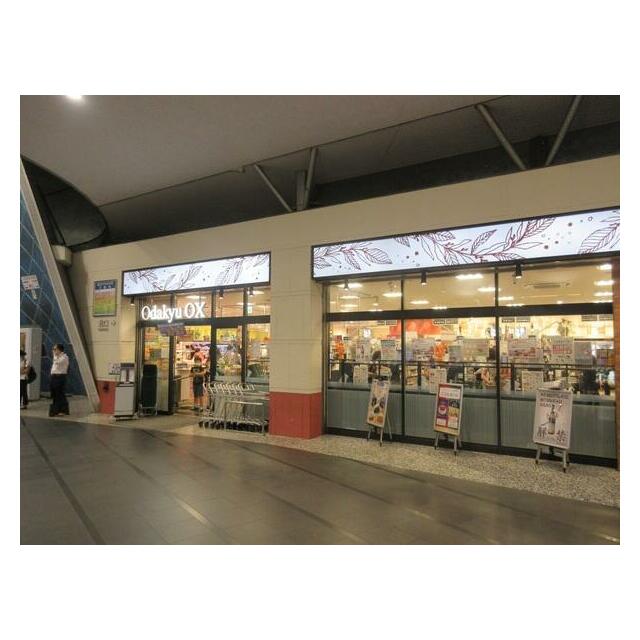 その他　ロピア秦野店（その他）まで239m