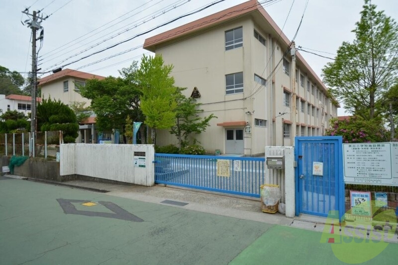 小学校　泉台小学校（小学校）まで252m