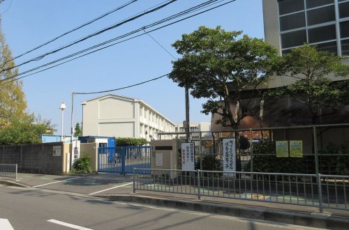 小学校　金岡南小学校（小学校）まで494m