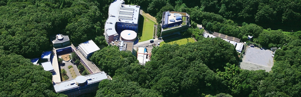 大学・短大　私立東京造形大学（大学・短大）まで1726m