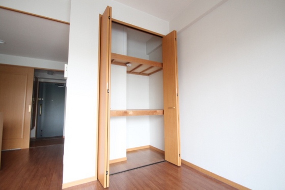 収納　※別部屋の写真です