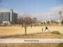 公園　扇町公園（公園）まで655m