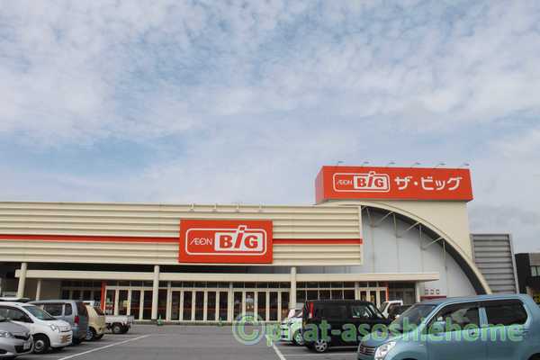 ショッピングセンター　ザ・ビッグ高月店（ショッピングセンター）まで1450m