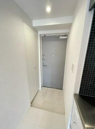 玄関　カスタリア大森III