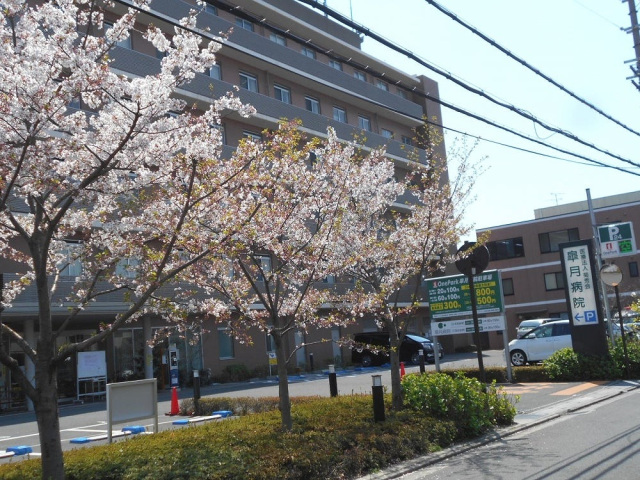 病院　医療法人菊秀会皐月病院（病院）まで1227m
