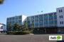 中学校　掛川市立大浜中学校（中学校）まで667m