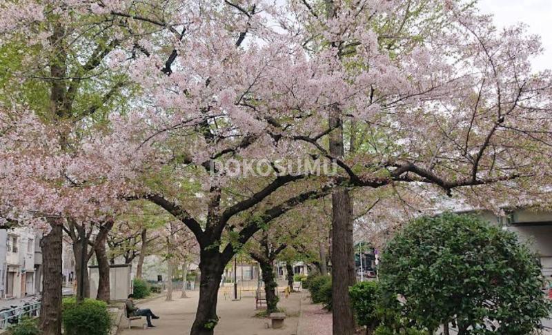 公園　上福島公園（公園）まで379m