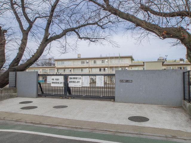 小学校　小平第十一小学校（小学校）まで612m