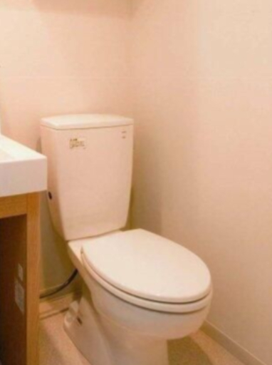 トイレ　写真は同タイプ住居です。
