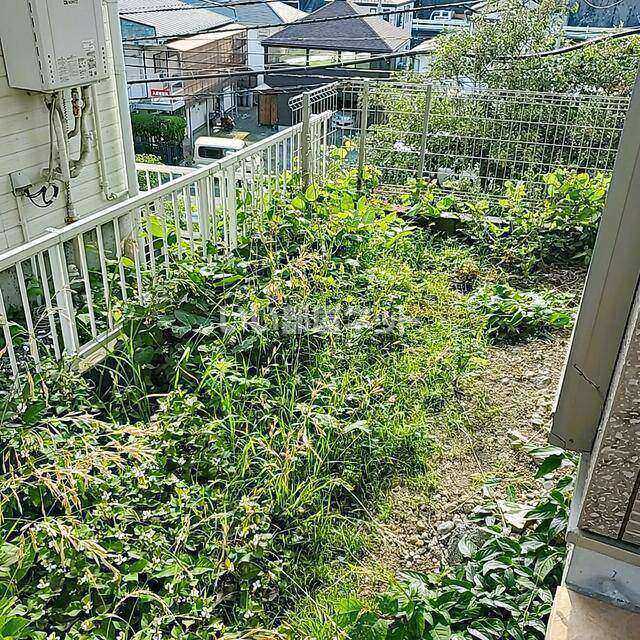 庭