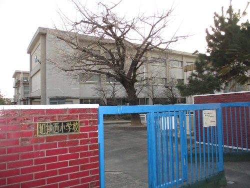 小学校　加納西小学校（小学校）まで747m