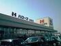 スーパー　ハローズ　新涯店（スーパー）まで1264m