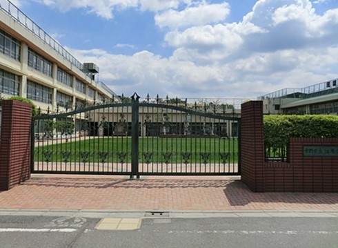 小学校　中野区立江原小学校（小学校）まで382m