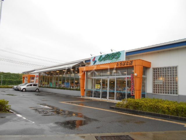 スーパー　しまむらストアー たちばな店（スーパー）まで344m