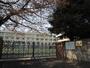 小学校　常盤台小学校（小学校）まで268m