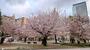公園　錦糸公園（公園）まで1571m