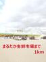 スーパー　まるたか生鮮市場（スーパー）まで1000m