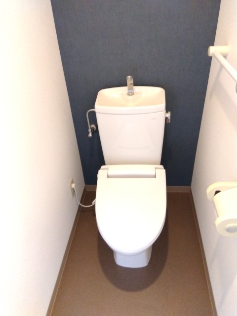 ロイヤルフラット壱番館のトイレ写真