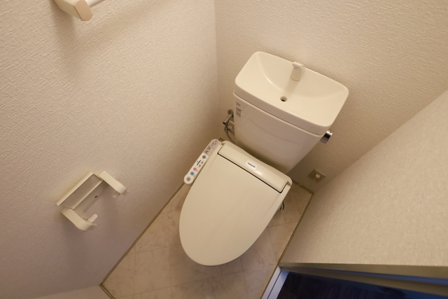 トイレ　他号室の写真です