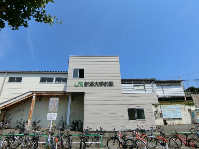 その他　新潟大学前駅（その他）まで560m