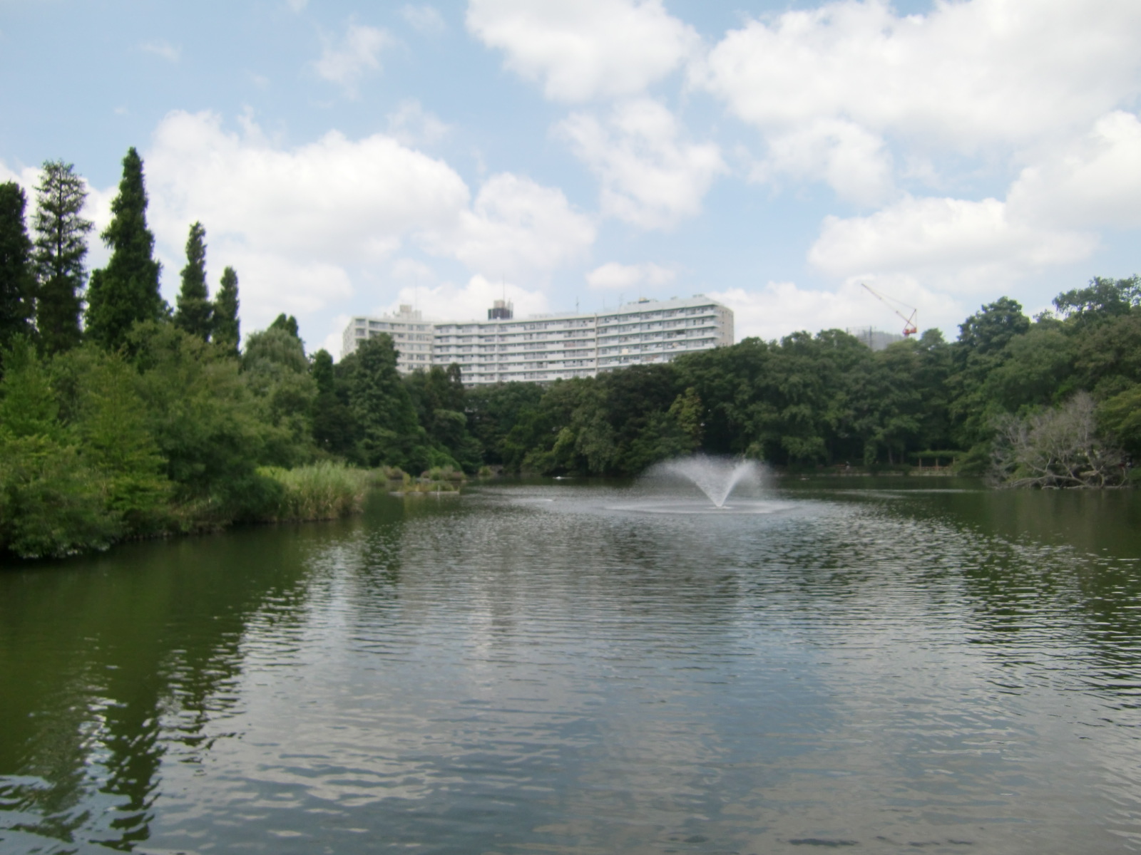 公園　都立 井の頭恩賜公園（公園）まで779m