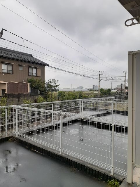 庭