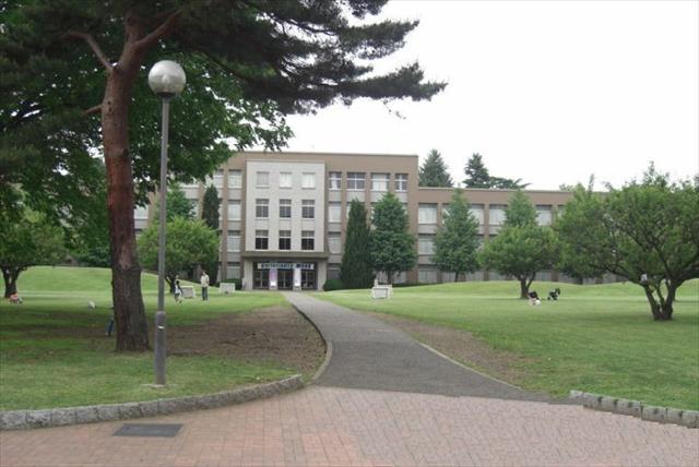 大学・短大　国際基督教大学（大学・短大）まで958m