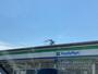 コンビニ　ファミリーマート 松本並柳店（コンビニ）まで347m