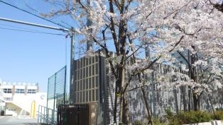 小学校　品川区立清水台小学校（小学校）まで293m