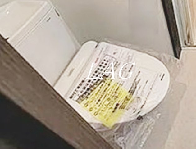 トイレ　トイレです。